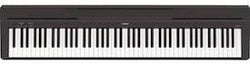 Yamaha P45B